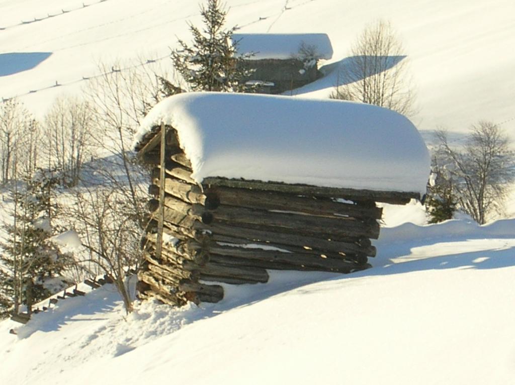 Ferienwohnung Haus Konrad Reith im Alpbachtal Exterior foto